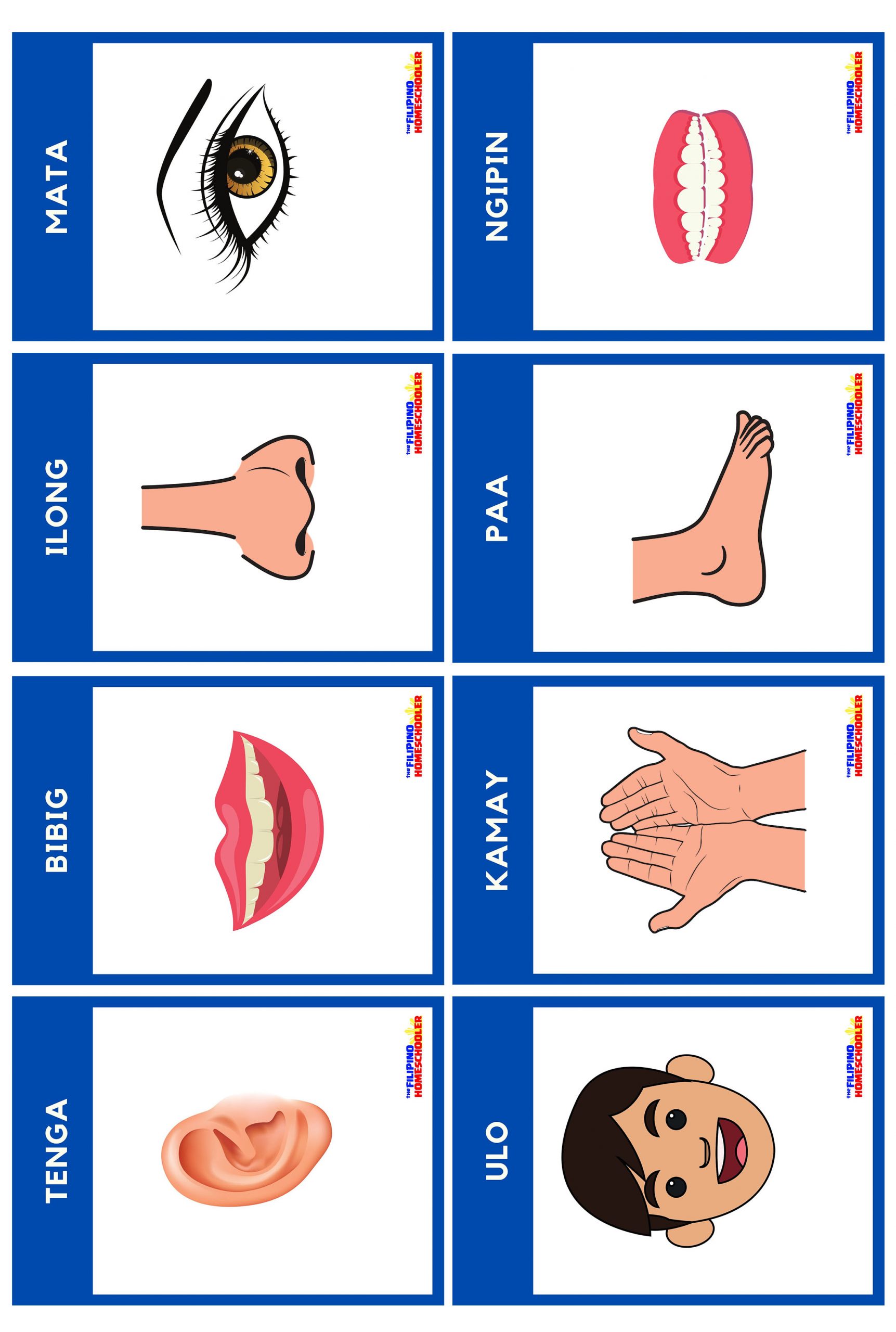 Free Filipino Flashcards Body Parts Bahagi Ng Katawan — The Filipino Homeschooler 4722