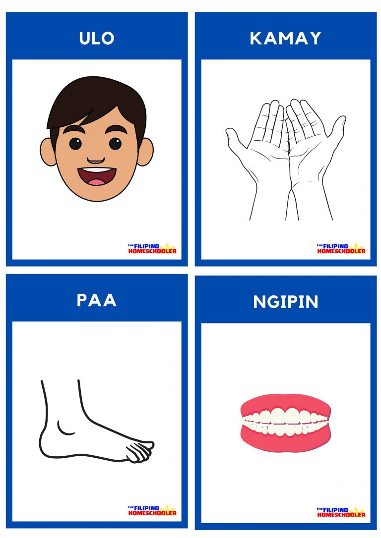 Free Filipino Flashcards Body Parts Bahagi Ng Katawan — The 9604