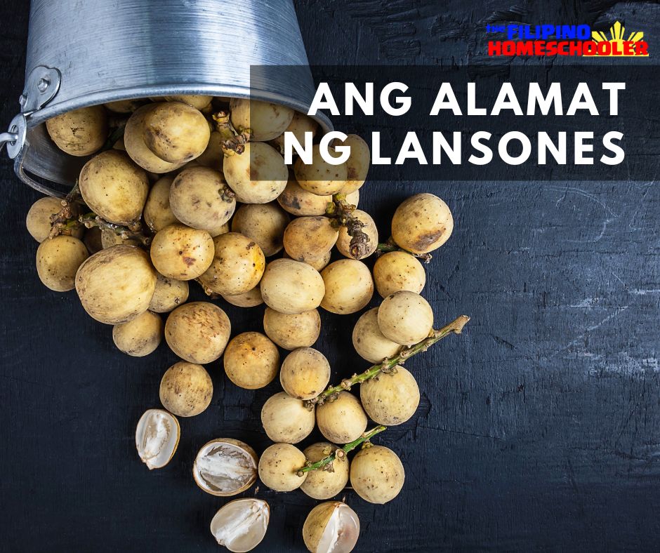 Ang Alamat Ng Lansones — The Filipino Homeschooler 