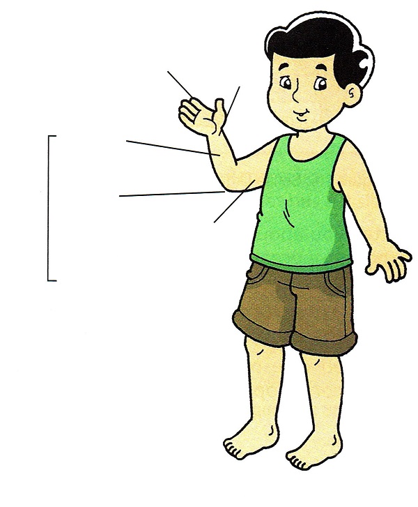 parts of the body worksheets the filipino homeschooler