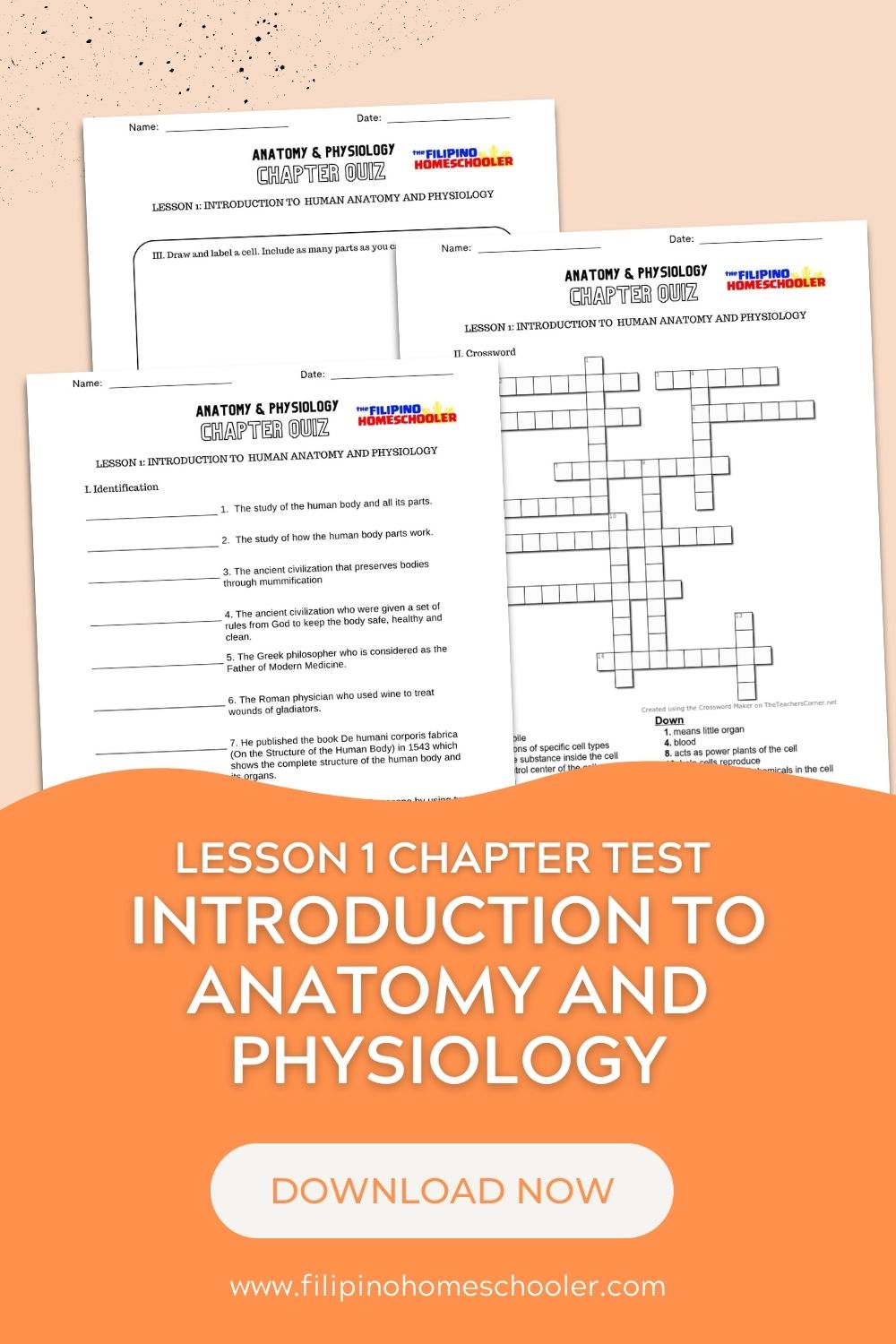 Lesson 1 Chapter Test: Introduction To Anatomy And Physiology — The ...